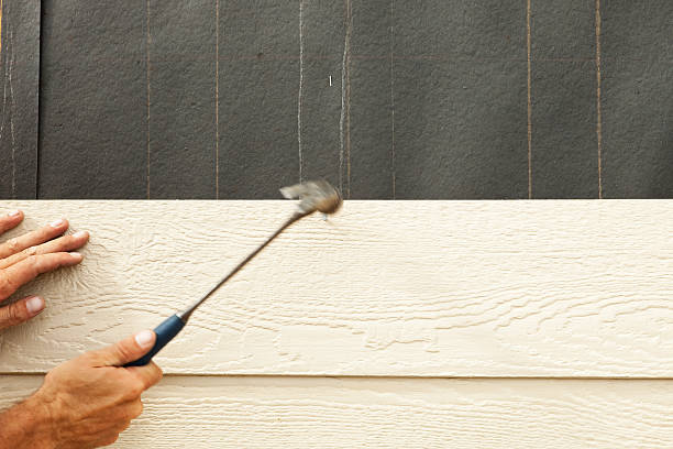 Best Storm Damage Siding Repair  in Cheree, OK